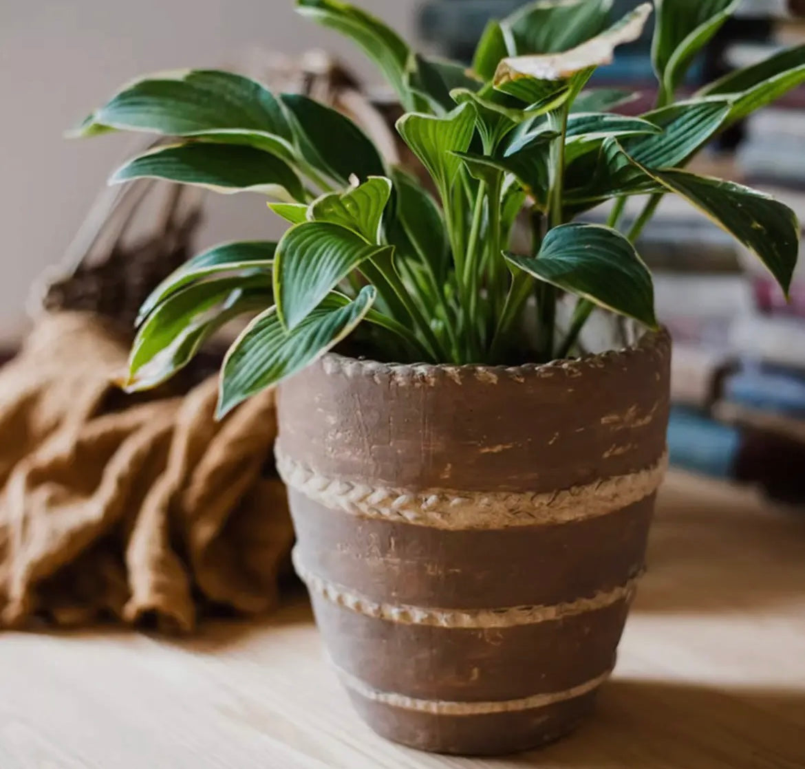 Terracotta Planters