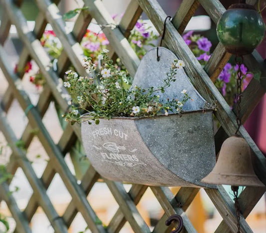 Iron Flower Wall Planter
