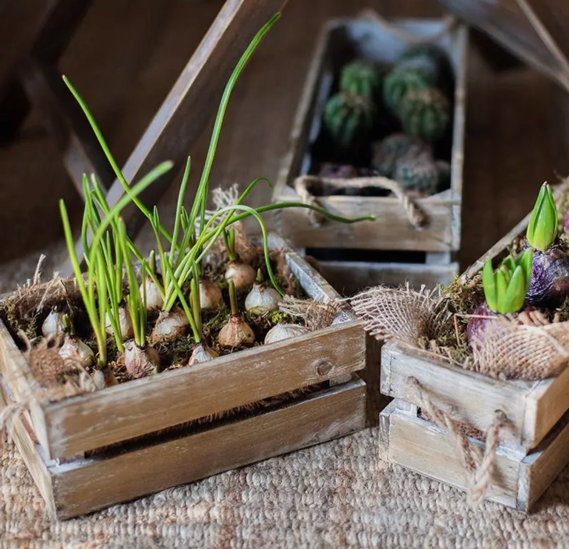 Wood Crates-Set of 2