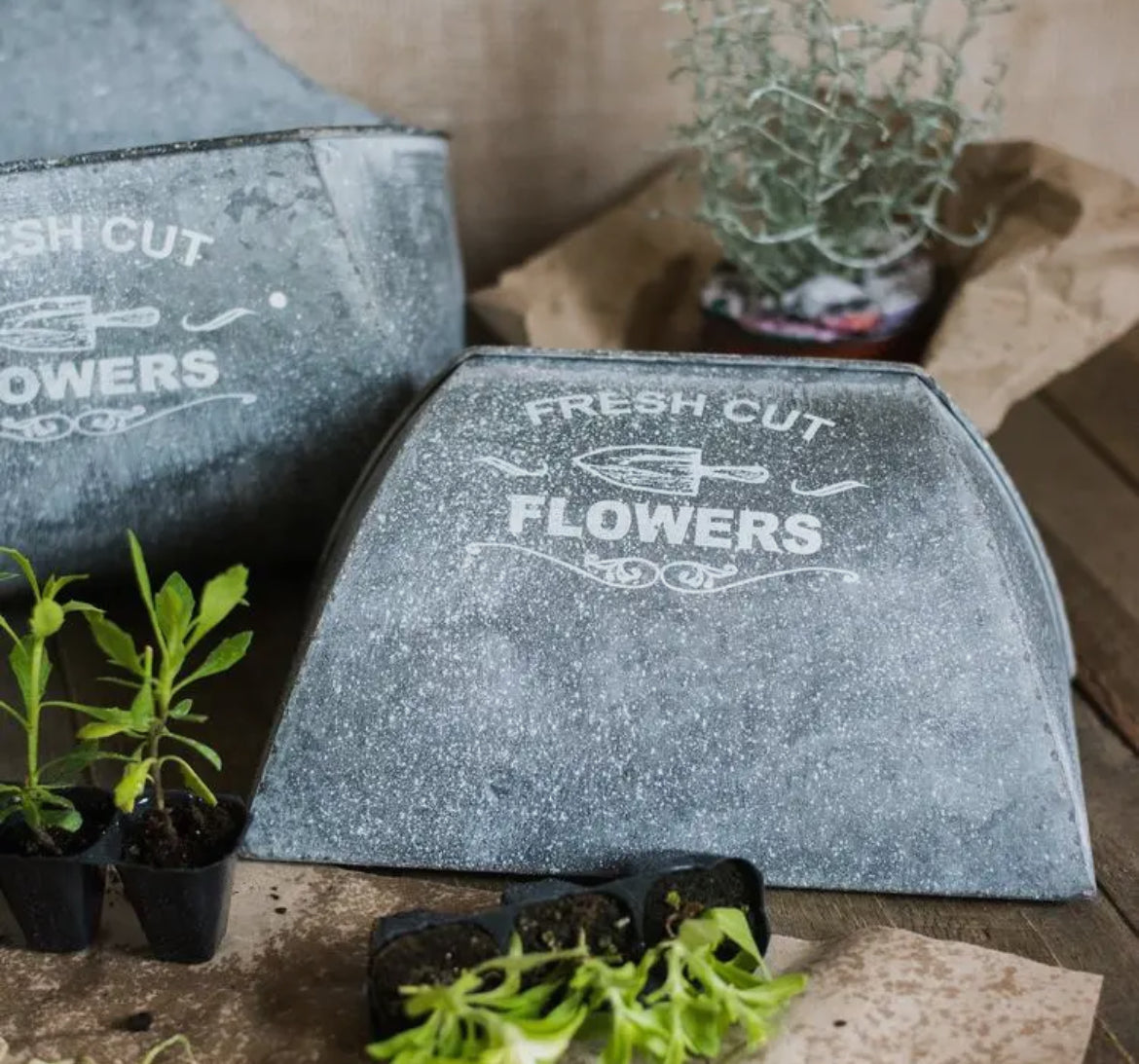 Iron Flower Wall Planter